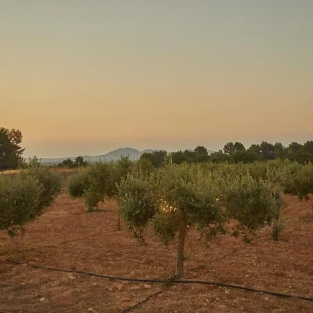 Rural Es Riquers Kır Evi *