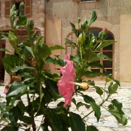 Kır Evi Rural Es Riquers